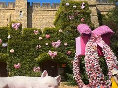 -青岛方特梦幻王国