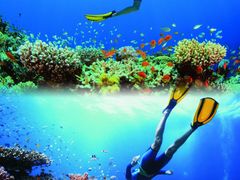 -三亚西岛海洋文化旅游区