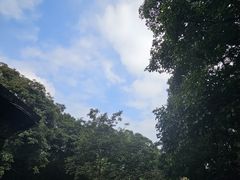 -海口火山口国家地质公园