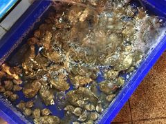 -顺峰渔港中国人的餐厅