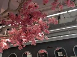 点击看大图 -梵茜儿·头道汤养生馆