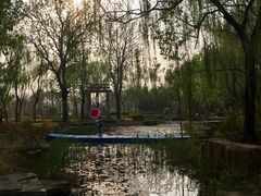 景点-曹州牡丹园