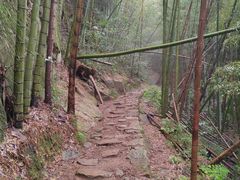 -莫干山风景区