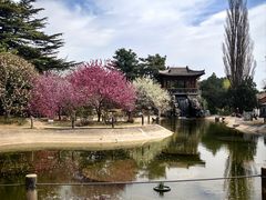 -国家植物园南园