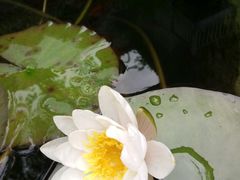-亦缘居私家别院