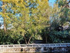 -红梅公园