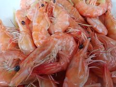 -鸿港海鲜批发市场