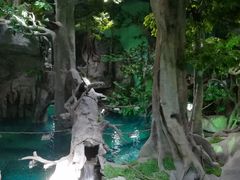 -福州罗源湾海洋世界旅游区