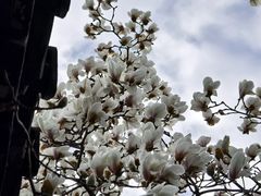 -苏皖边区政府旧址纪念馆