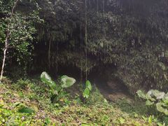 -海口火山口国家地质公园
