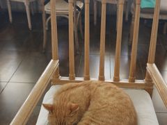 -Vanillacafe香草咖啡(银海大世界店)