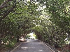-烟台山景区