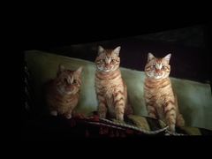 -神画光影影城(温岭万寿路店)