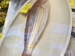 -妈妈菜舟山海鲜(定海古城店)