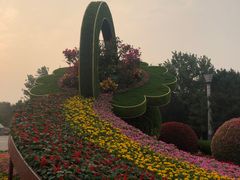 -大兴滨河森林公园