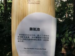 -成都市活水公园