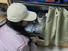 -谐和贝康宠物医院24小时·宠保定点(急重症转诊中心)