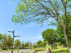 -盘龙城国家考古遗址公园