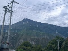 -金鼎雪山牦牛杂火锅(理县总店)