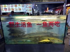 -布尔津河堤夜市