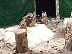 -长白岛森林公园