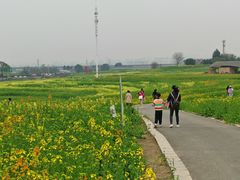 -三圣花乡旅游区