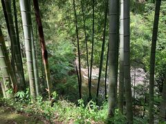 -山沟沟景区