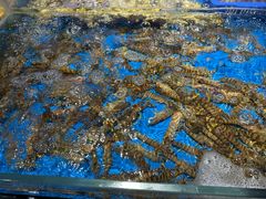 -徐记海鲜(大雁塔|金都店)