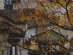 -塔川景区