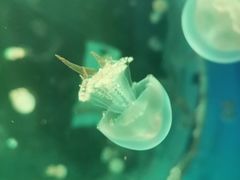 -白鹿仓冰雪海洋世界