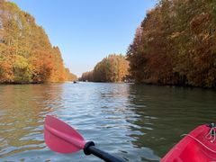 -上海海湾国家森林公园