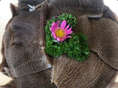 -海底捞火锅(龙湖北京大兴天街店)