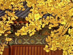 -承恩寺