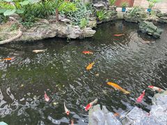 -广州白天鹅宾馆