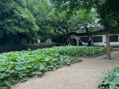 -绍兴鲁迅故里·沈园景区