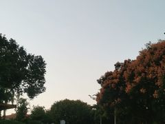 -仙岳公园