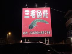 -三毛鱼庄(威连路店)