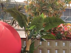 -上海交通大学医学院附属瑞金医院门诊部