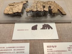 -北京大学赛克勒考古与艺术博物馆