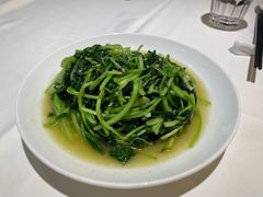 鸡毛菜-金春禧(世茂国际广场店)