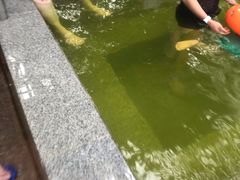 -龙脉温泉室内游泳馆