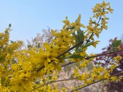 -元大都城垣遗址公园