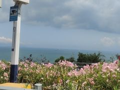 -玫瑰海岸文化旅游度假区