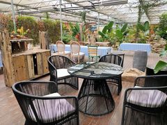 露天位-桉树林A coffee 森林餐厅(三圣乡店)