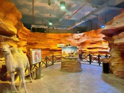 -酷嗒动物文化乐园(cutezoo西溪乐天城店)