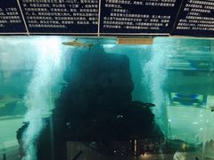 -鸿通城购物中心