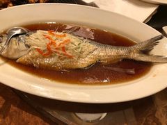 -喜来登由由大酒店九州膳坊中餐厅
