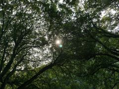-杭州植物园