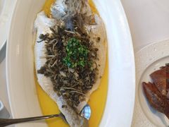 -圆苑(金茂店)
