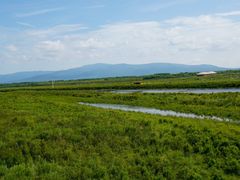 -黑瞎子岛探秘野熊园